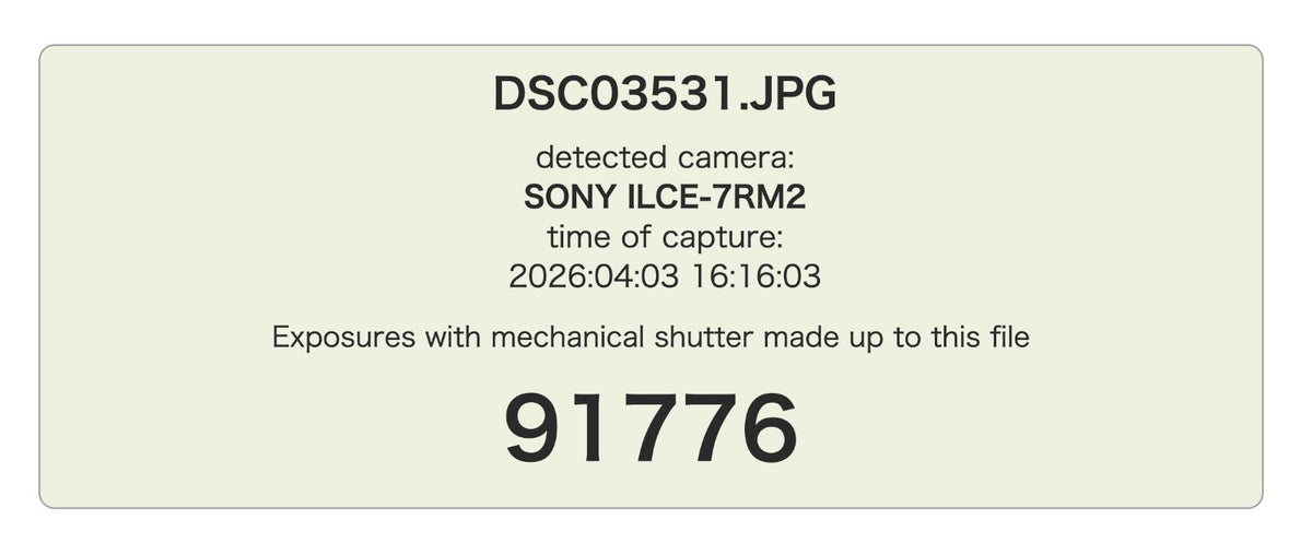 Sony ILCE-7RM2 A7R II Digital SLR Camer US STOCK #9966
