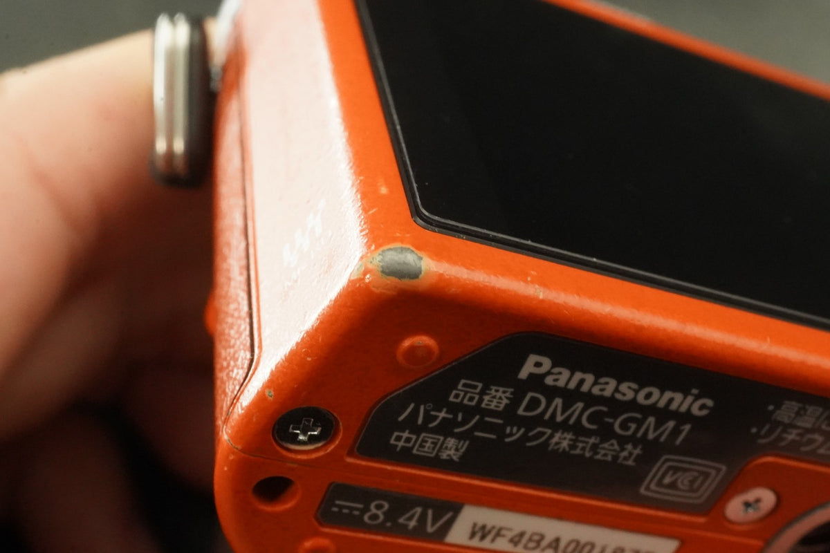 Panasonic LUMIX DMC-GM1 Digital Camera Orange English OK #11767