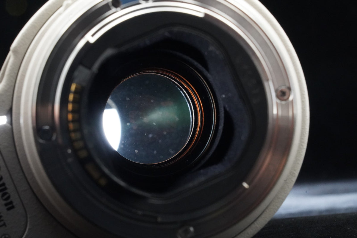 Canon EF 300mm f/4 L IS USM ULTRASONIC Lens US STOCK #10348