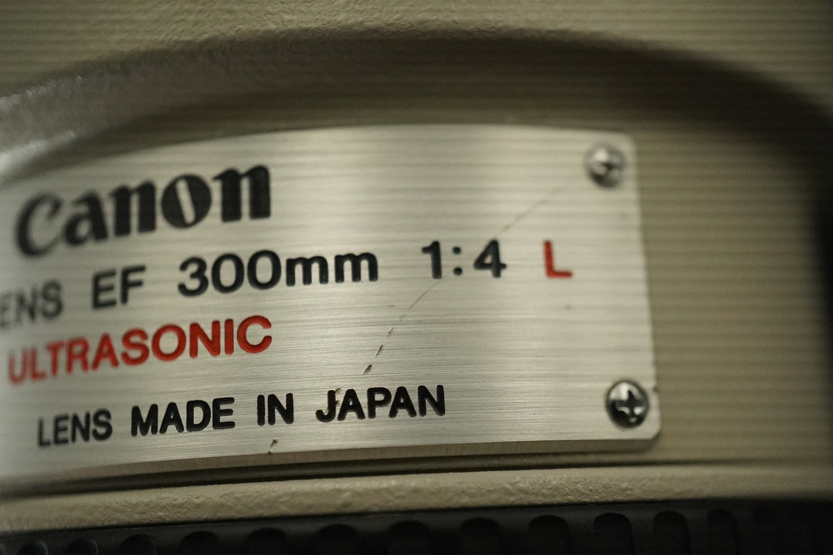 Canon EF 300mm f/4 L USM NON-IS ULTRASONIC Lens #12214