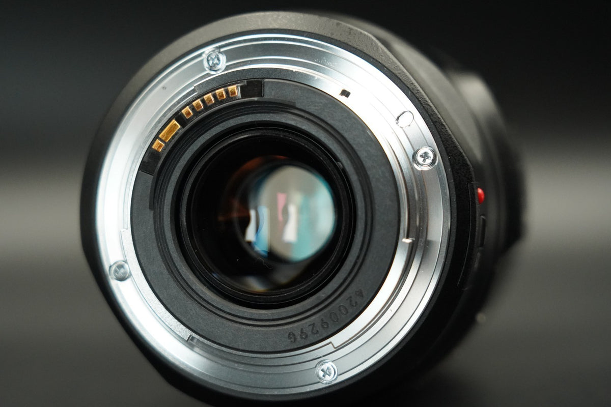 Canon EF 75-300mm f/4-5.6 IS USM Telephoto Zoom Lens From Japan #11559