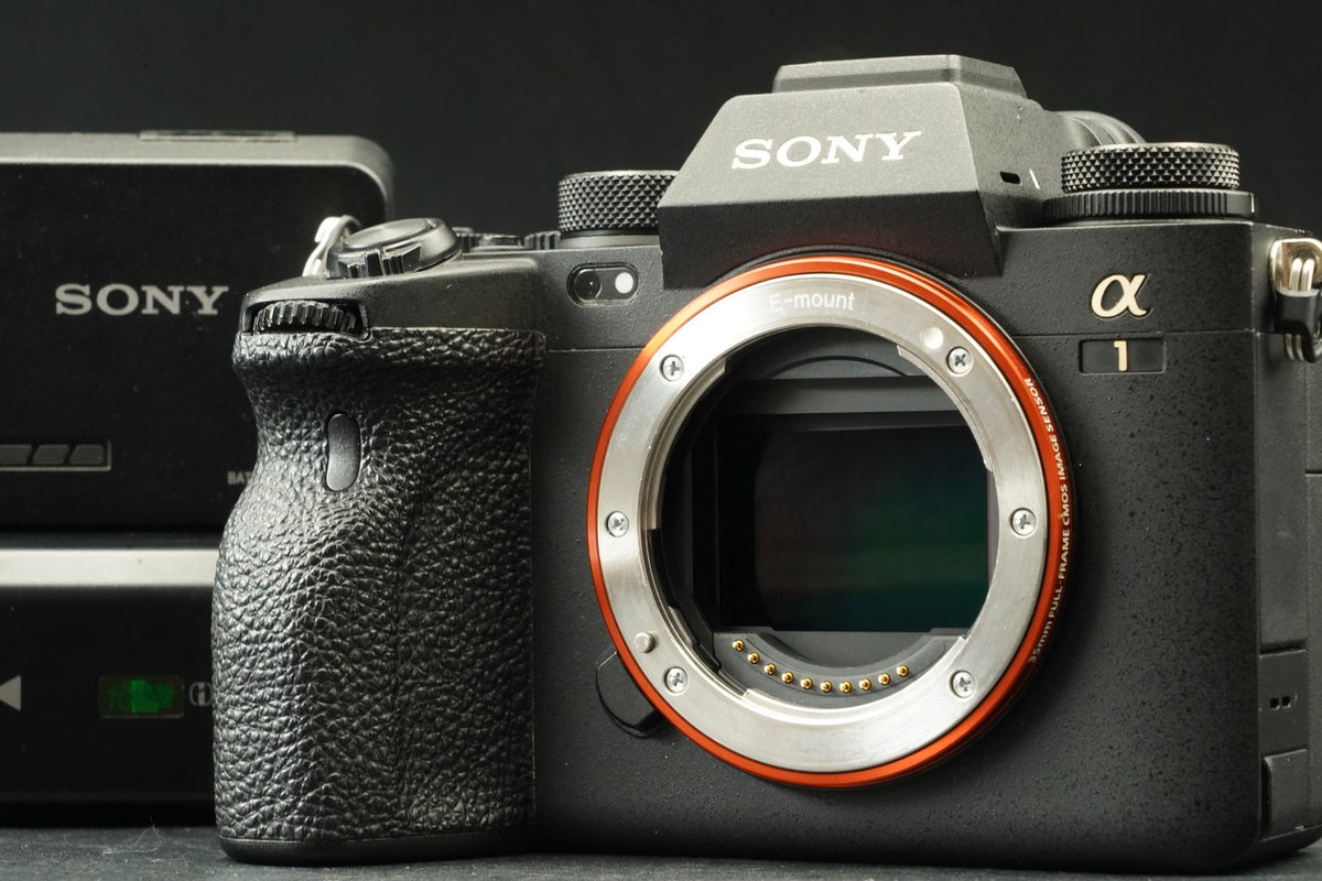SONY a1 ILCE-1 Mirrorless Digital Camera [English OK] -6536 cuts- #12034