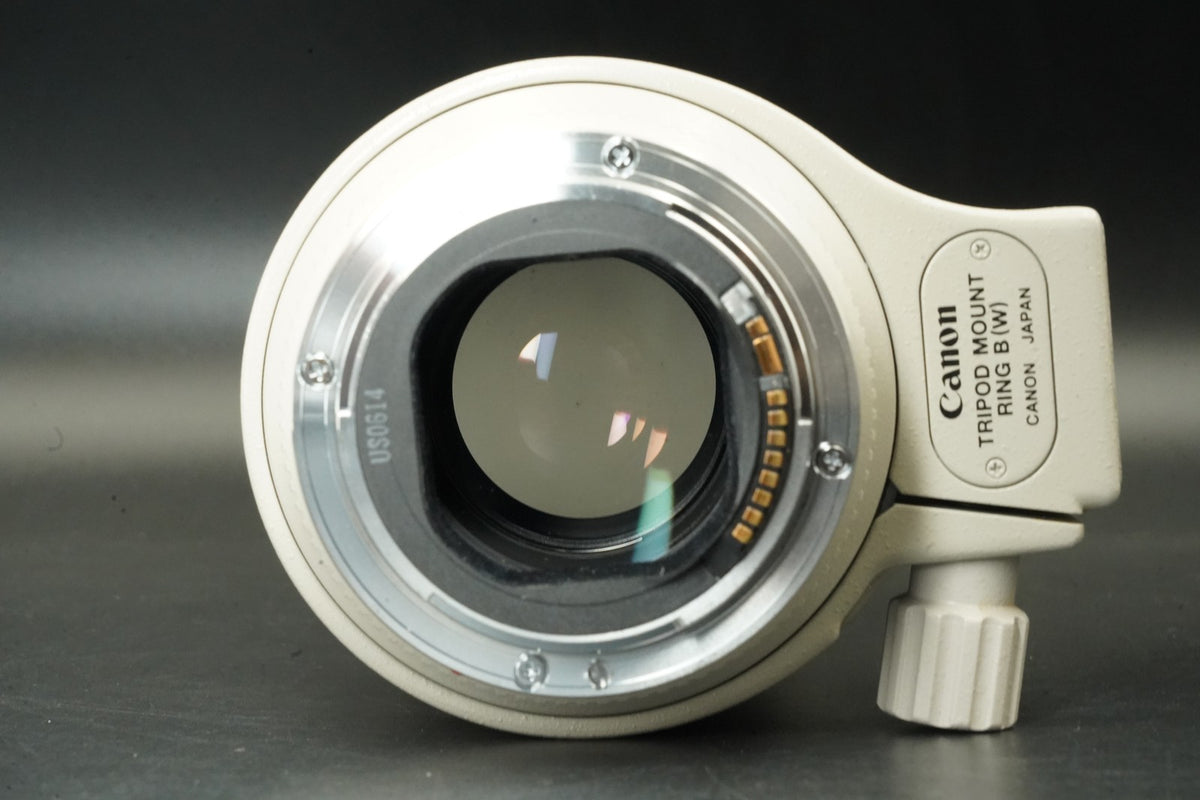 Canon EF 70-200mm F/2.8 L USM Telephoto Zoom AF Lens #12376