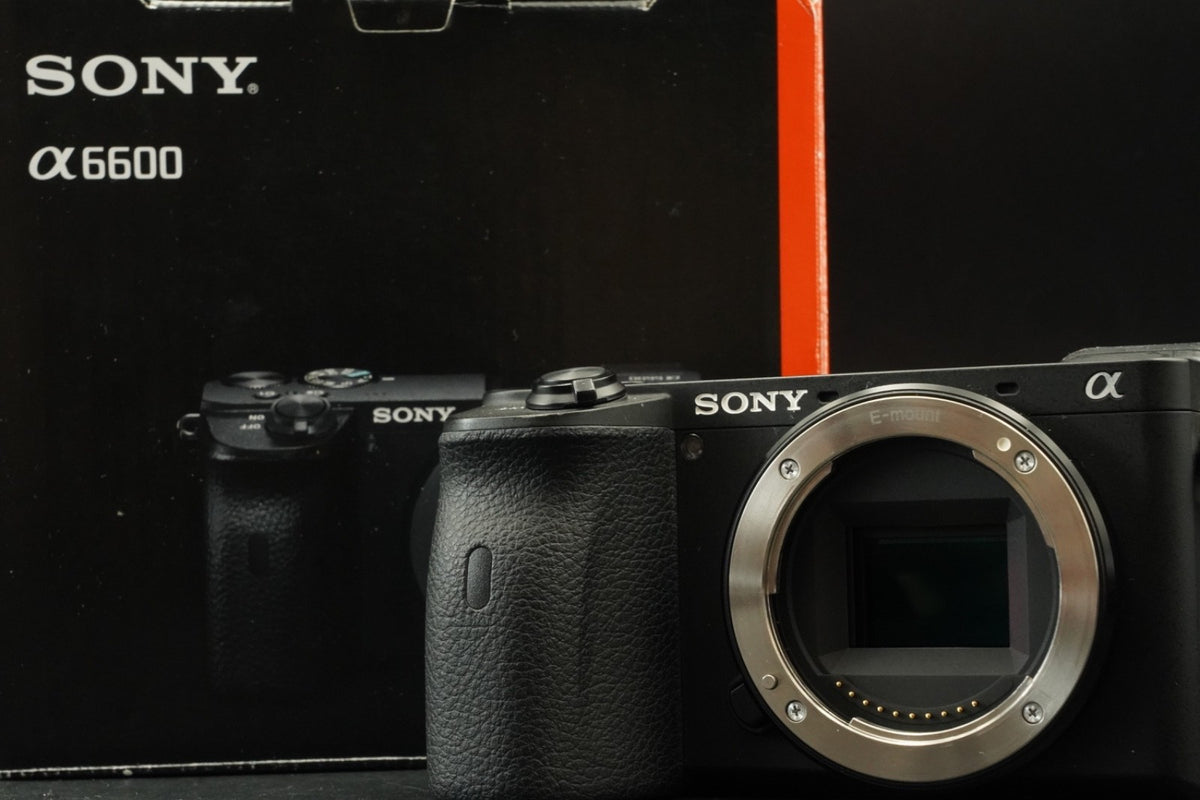 Sony Alpha a6600 ILCE-6600 English Language -9435 cuts- US STOCK #11830