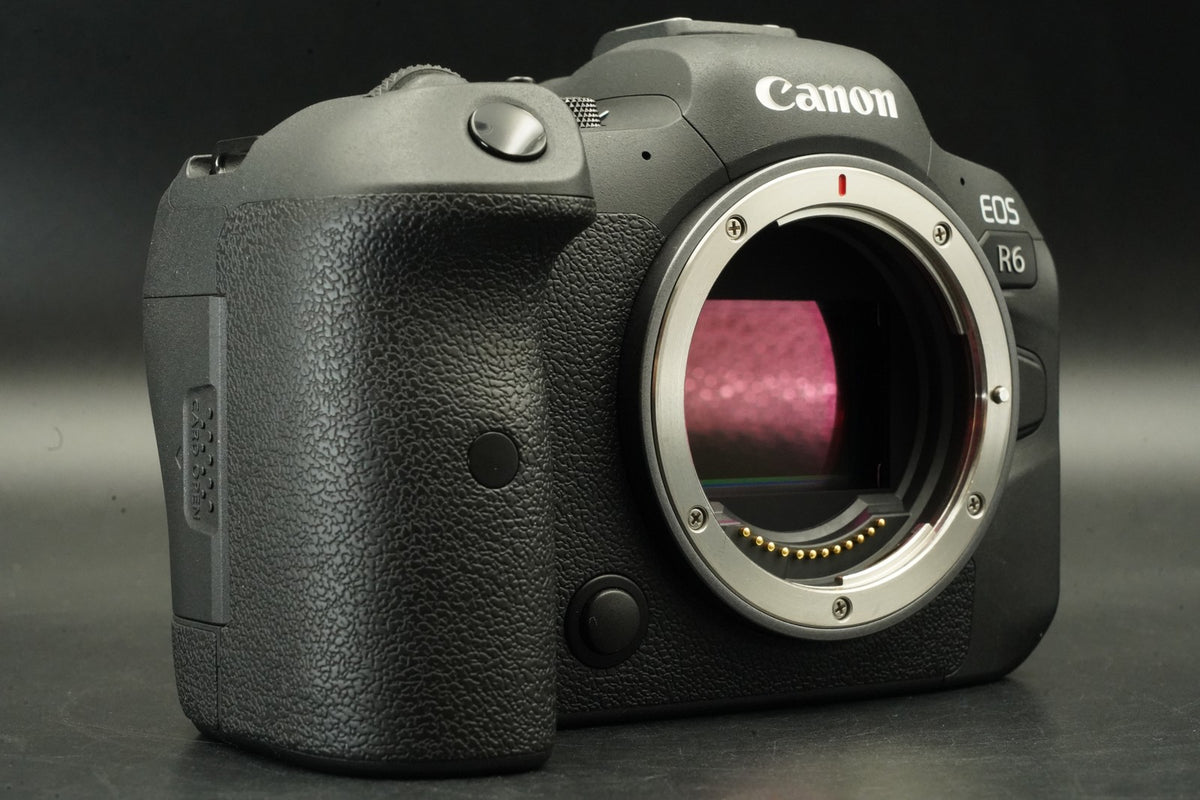 Canon EOS R6 20.1MP Mirrorless Camera -15% cuts- #12379