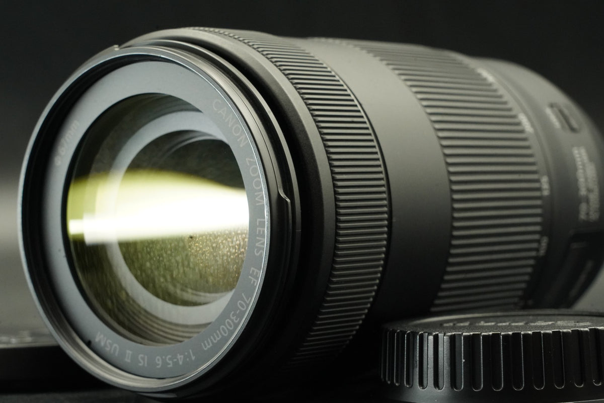 Canon EF 70-300mm f/4-5.6 IS II USM Zoom Lens #12490