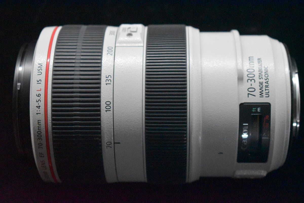 [US Duty Paid] Canon EF 70-300mm f/4-5.6 L IS USM From JAPAN #8097