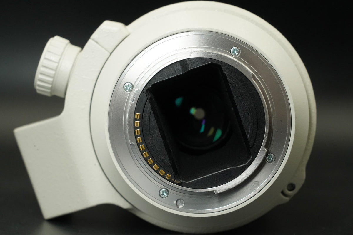 SONY FE 70-200mm F/4 G OSS SEL70200G for SONY E mount #12253