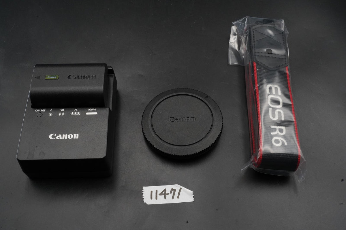 Canon EOS R6 20.1MP Mirrorless Camera -270 cuts- #11471