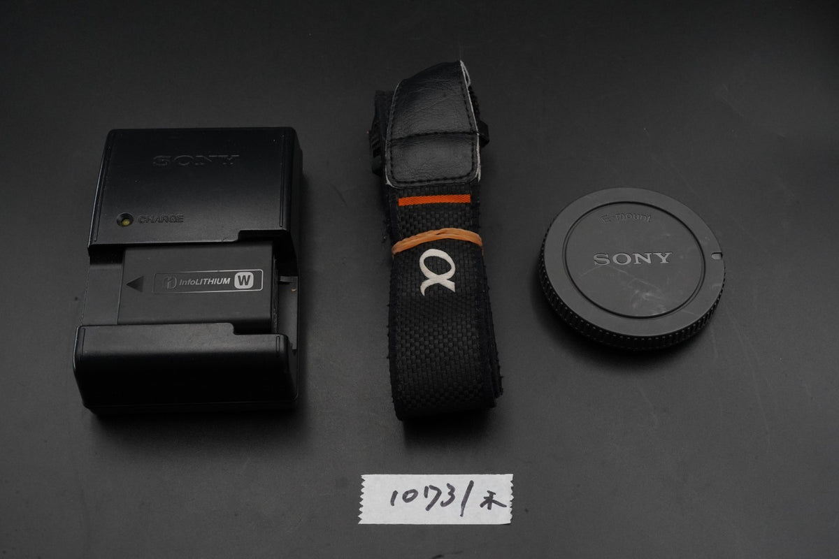 SONY Alpha a7 II ILCE-7M2 Body Mirrorless 35 Language #10731