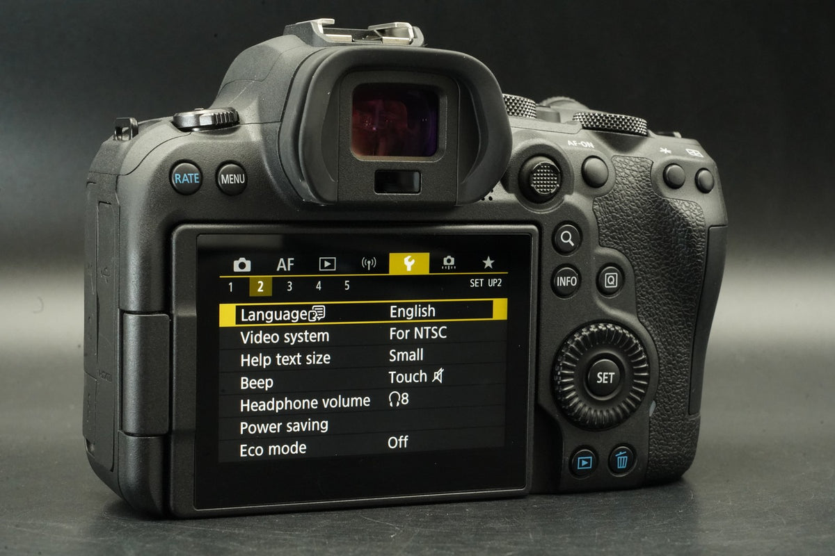 Canon EOS R6 20.1MP Mirrorless Camera -15% cuts- #12379