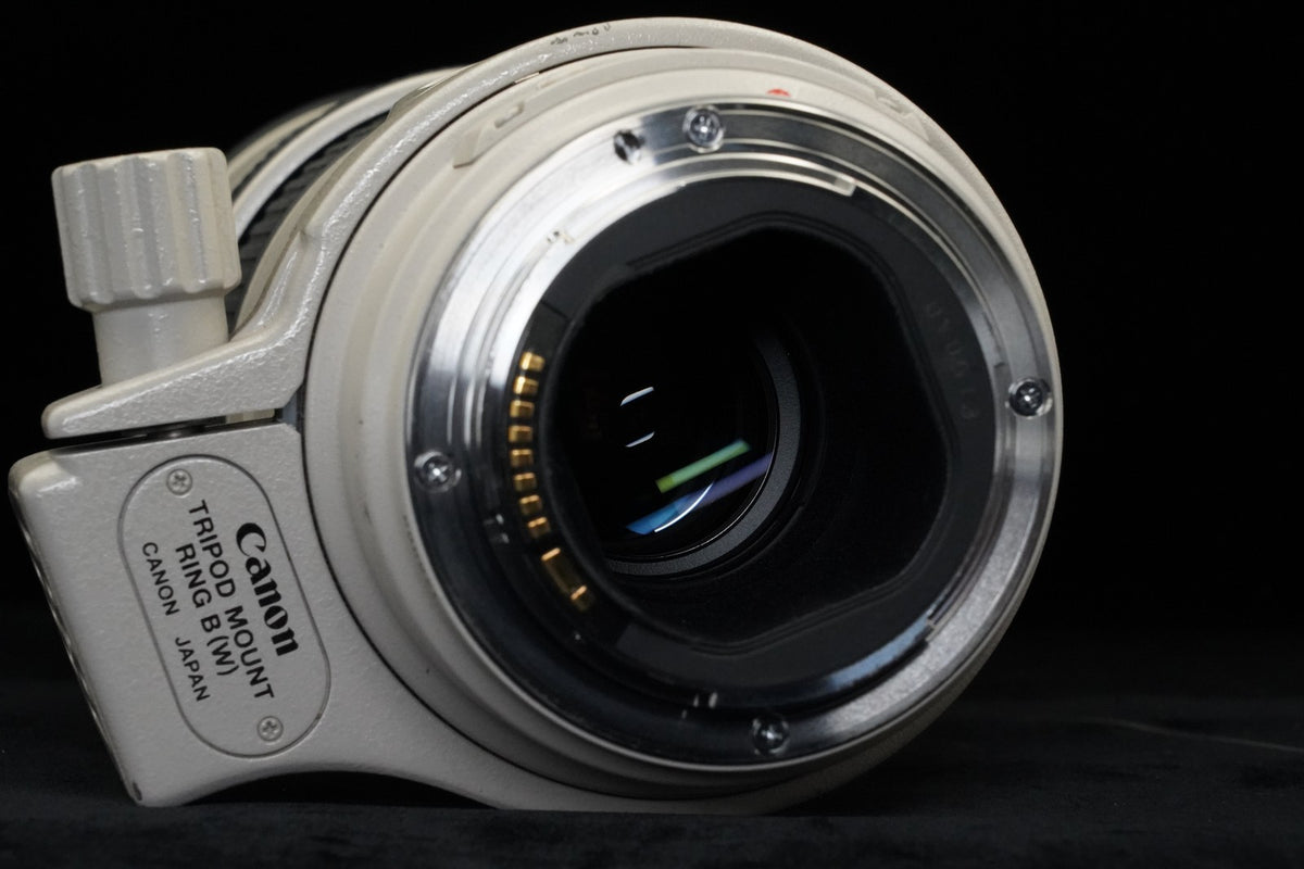 Canon EF 300mm f/4 L IS USM ULTRASONIC Lens US STOCK #10348