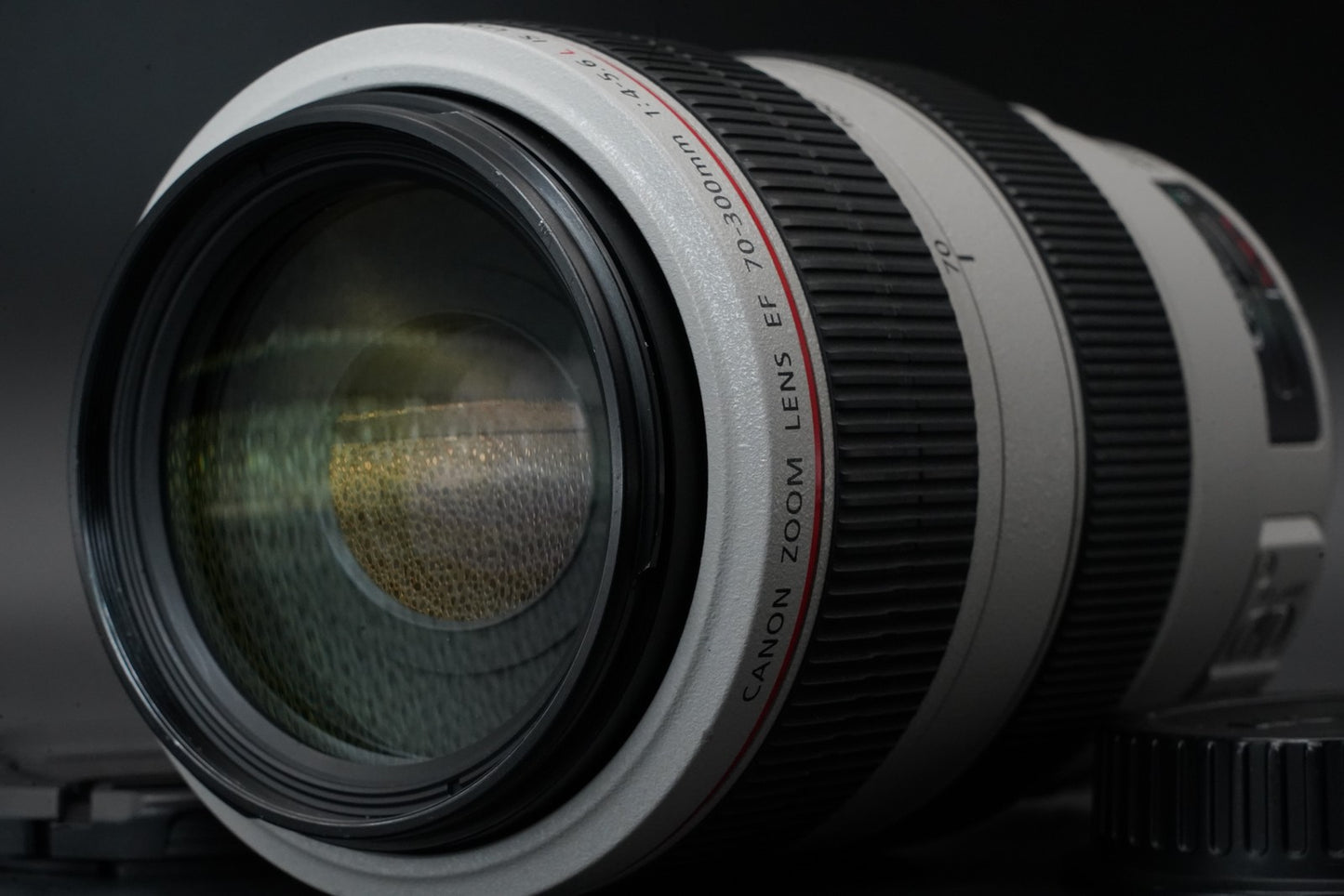 Canon EF 70-300mm f/4-5.6 L IS USM US Duty Paid 11079