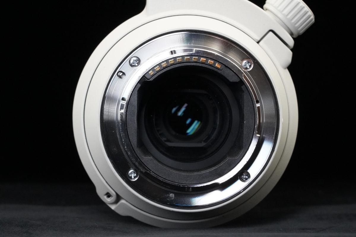 SONY FE 70-200mm F/4 Macro G OSS II SEL70200G2 for SONY E #10379