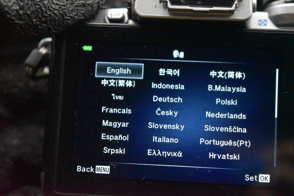 [US Duty Paid] Olympus OM-D E-M10 16.1MP Digital SLR Camera Silver Japan 9167