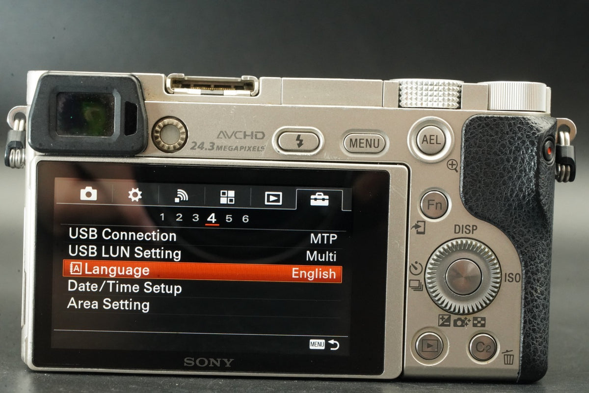 Sony a6000 Digital Mirrorless Camera Silver 2 Lenses! [] US STOCK #11712