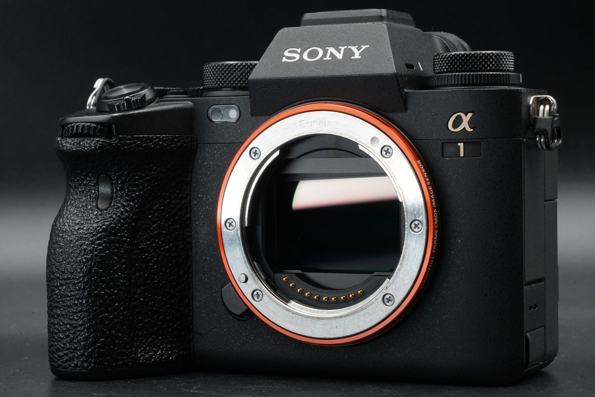 SONY a1 ILCE-1 Mirrorless Digital Camera [English OK] -5120 cuts- #11293