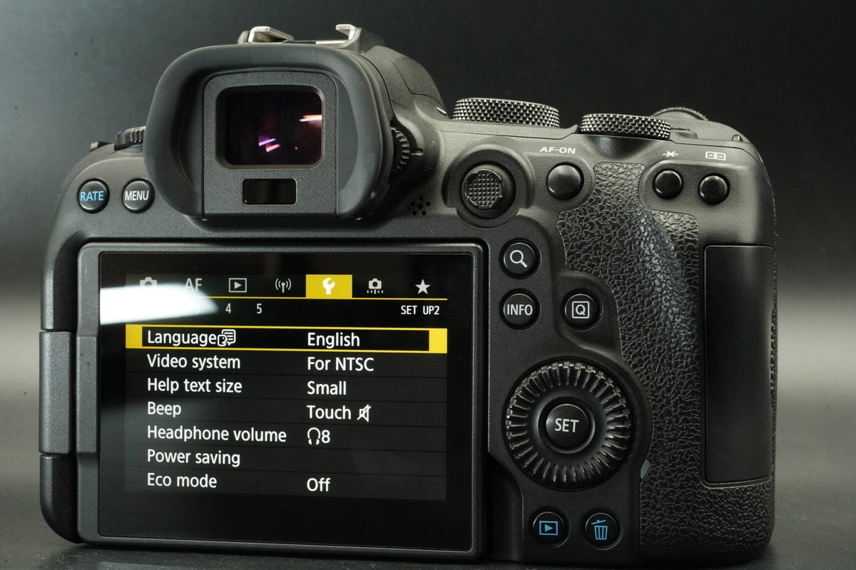 Canon EOS R6 20.1MP Mirrorless Camera #11678