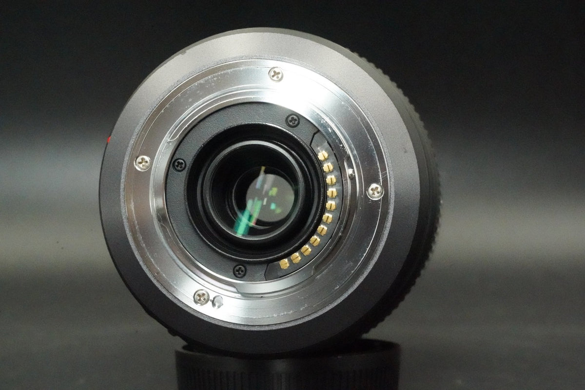 Panasonic Lumix G VARIO 100-300mm F/4.0-5.6 MEGA O.I.S. (MFT) #12740