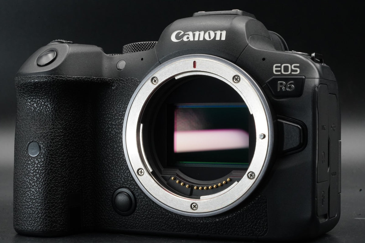 Canon EOS R6 20.1MP Mirrorless Camera -270 cuts- #11471