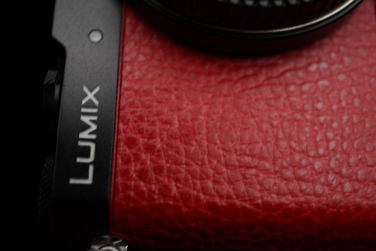Panasonic LUMIX DMC-GM5 16MP Red Body Only English OK ! US STOCK #10139