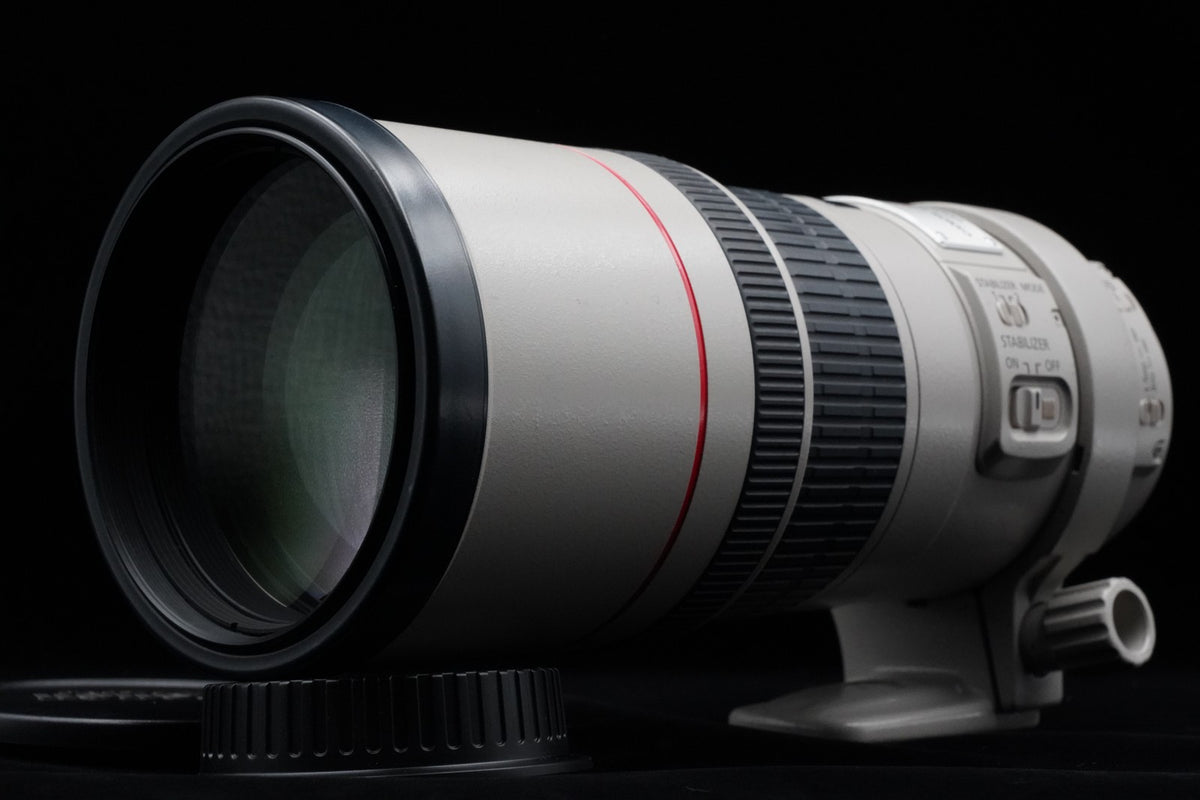 Canon EF 300mm f/4 L IS USM ULTRASONIC Lens US STOCK #10348