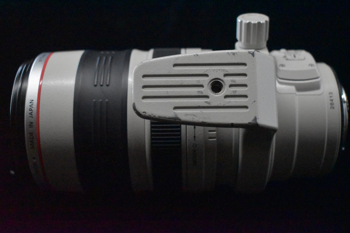 [US Duty Paid] Obiettivo Canon EF 28-300mm f/3.5-5.6 L IS USM dal Giappone 7851