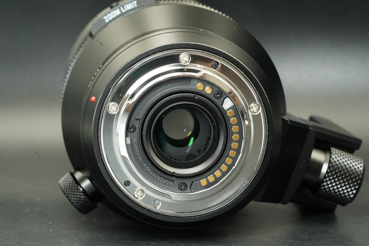 Panasonic LEICA DG VARIO-ELMAR 100-400mm F4-6.3II H-RSA100400 #12255