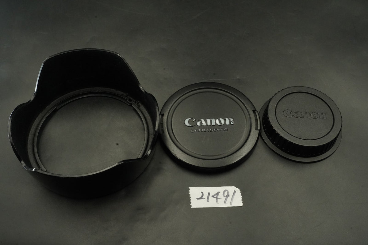 Canon EF 24-105mm f/4 L IS USM Zoom Lens EF Mount #12491
