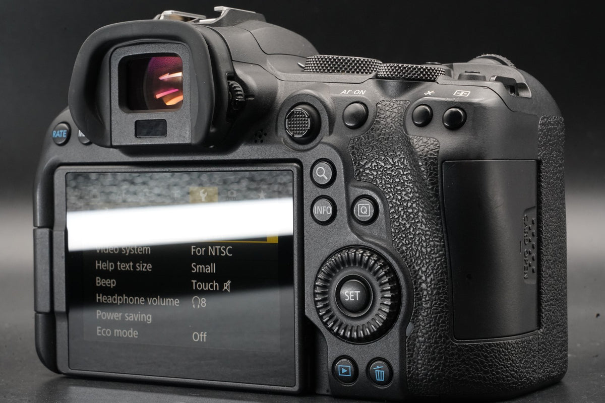 Canon EOS R6 20.1MP Mirrorless Camera -270 cuts- #11471
