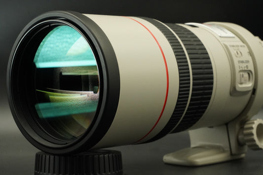 Canon EF 300mm f/4 L IS USM ULTRASONIC Lens #11904