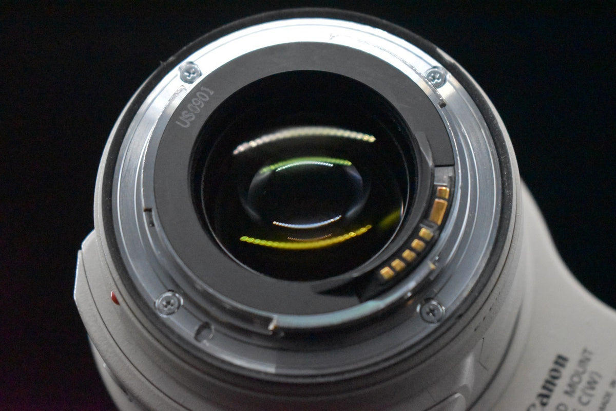 [US Duty Paid] Canon EF 28-300mm f/3.5-5.6 L IS USM Lens From JAPAN 7851