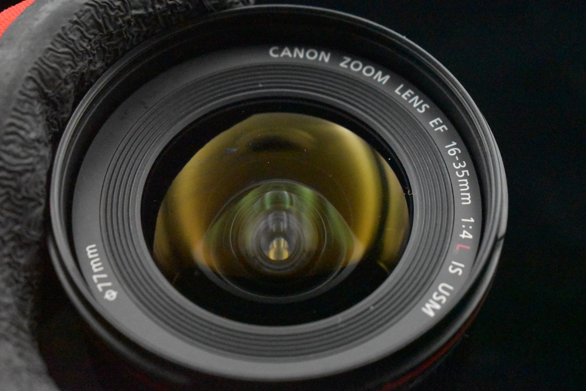 [US Duty Paid] Canon EF 16-35 mm f/4 L IS USM obiettivo grandangolare AF...