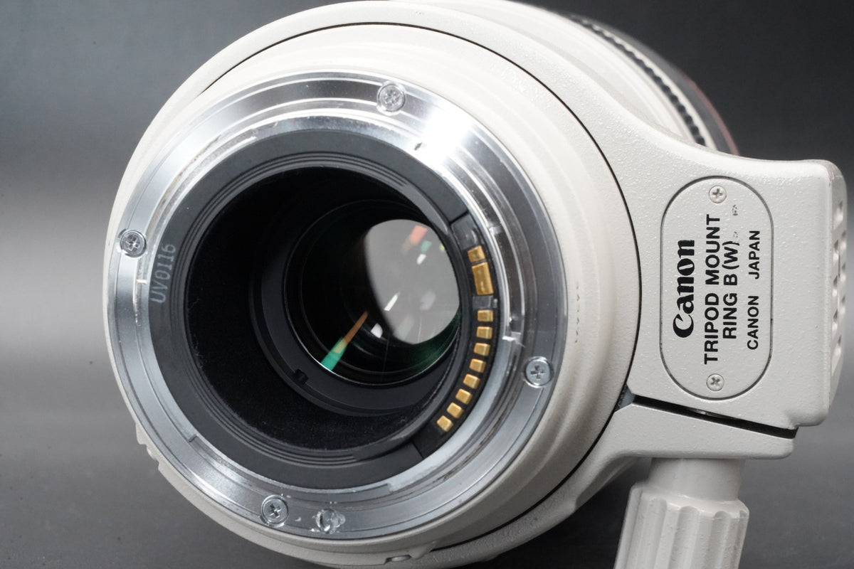 Canon EF 100-400mm f/4.5-5.6 L IS USM AF Zoom Lens US STOCK #11003