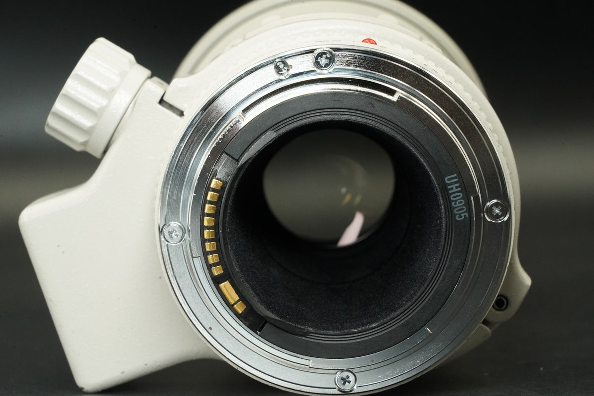 Canon EF 300mm f/4 L USM NON-IS ULTRASONIC Lens #12214