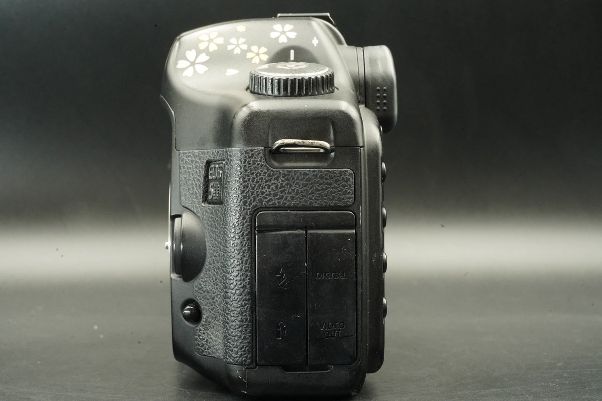 Canon EOS 5D Digital SLR Full Frame Camera Body Only #12437