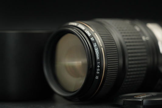 Canon EF 75-300mm f/4-5.6 IS USM Telephoto Zoom Lens  From Japan #11559