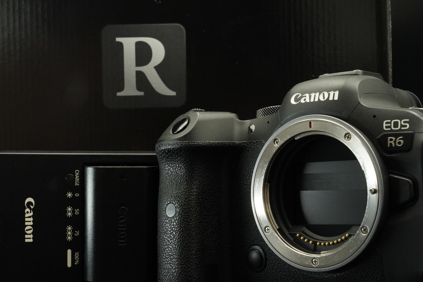 Canon EOS R6 20.1MP Mirrorless Camera 11678