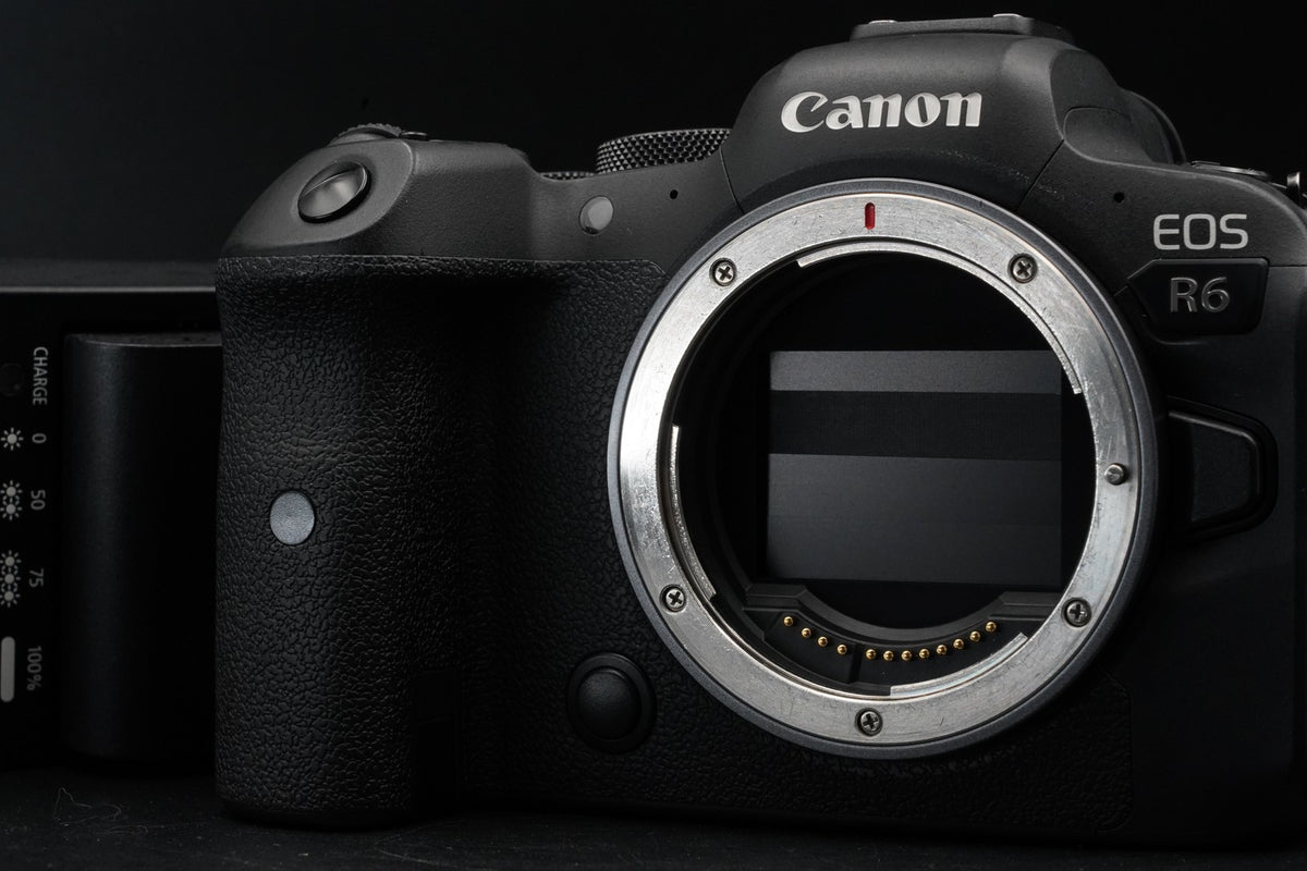 Canon EOS R6 20.1MP Mirrorless Camera -1200 cuts- #11354
