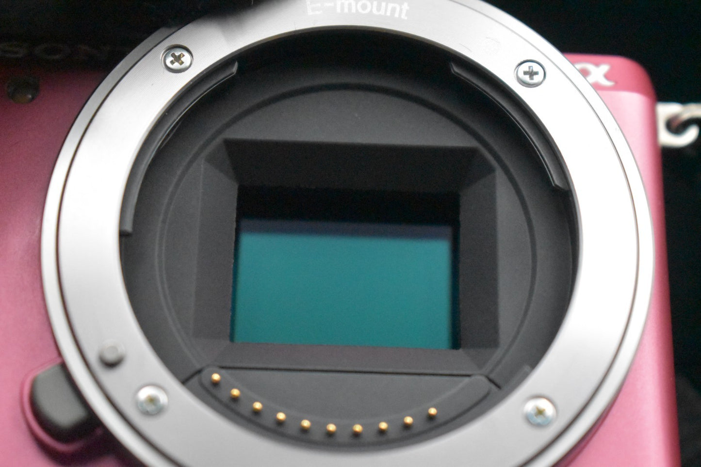 [US Duty Paid] Sony Alpha a5000 Mirrorless Digital Camera with Lens Pink 9101