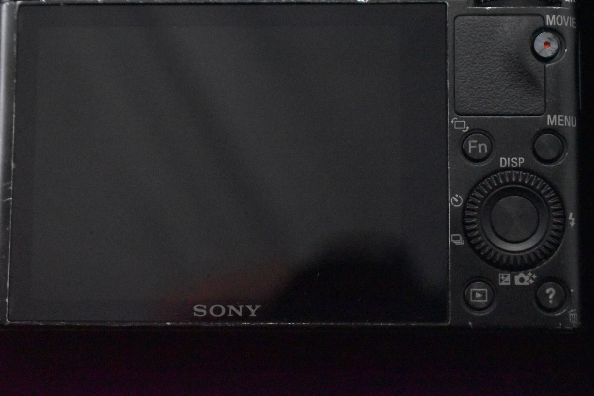 Sony Cyber-Shot DSC-RX100 20.2MP Digital Camera ENGLISH OK! #11938