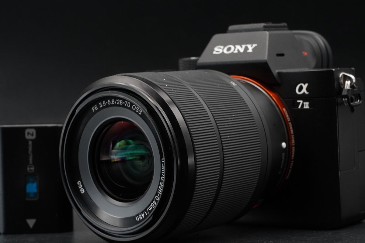 Sony Alpha a7 III ILCE-7M3 Mirrorless Digital Camera Lens 85807 cuts #10882