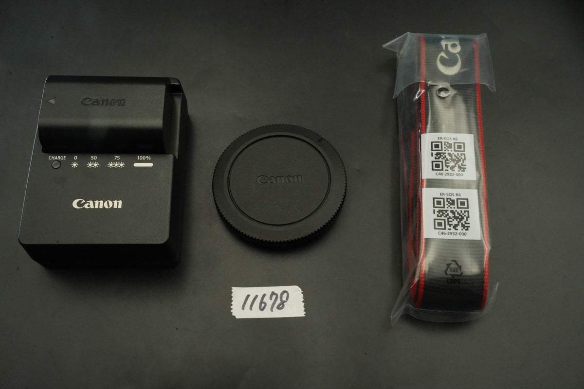 Canon EOS R6 20.1MP Mirrorless Camera #11678