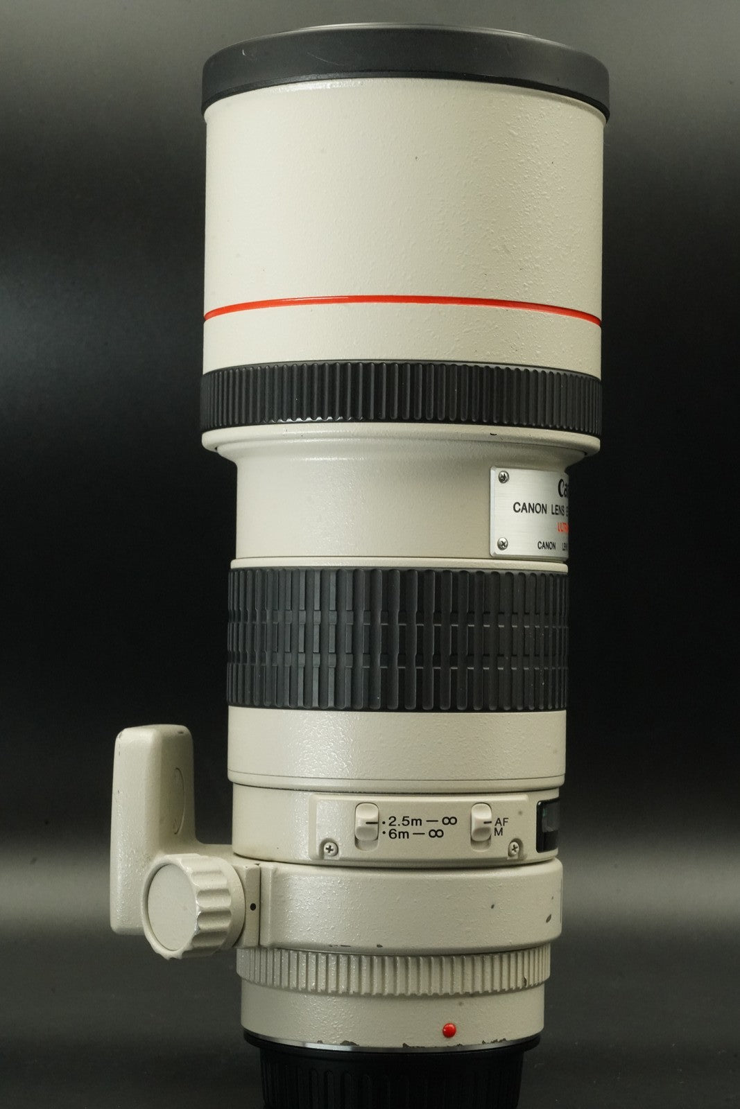 Canon EF 300mm f/4 L USM NON-IS ULTRASONIC Lens #12214