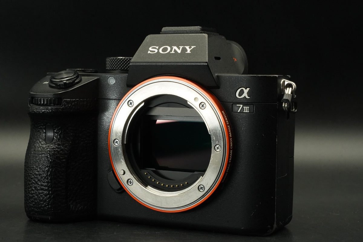 Sony Alpha a7 III ILCE-7M3 Digital Camera -87111 cuts- #12409