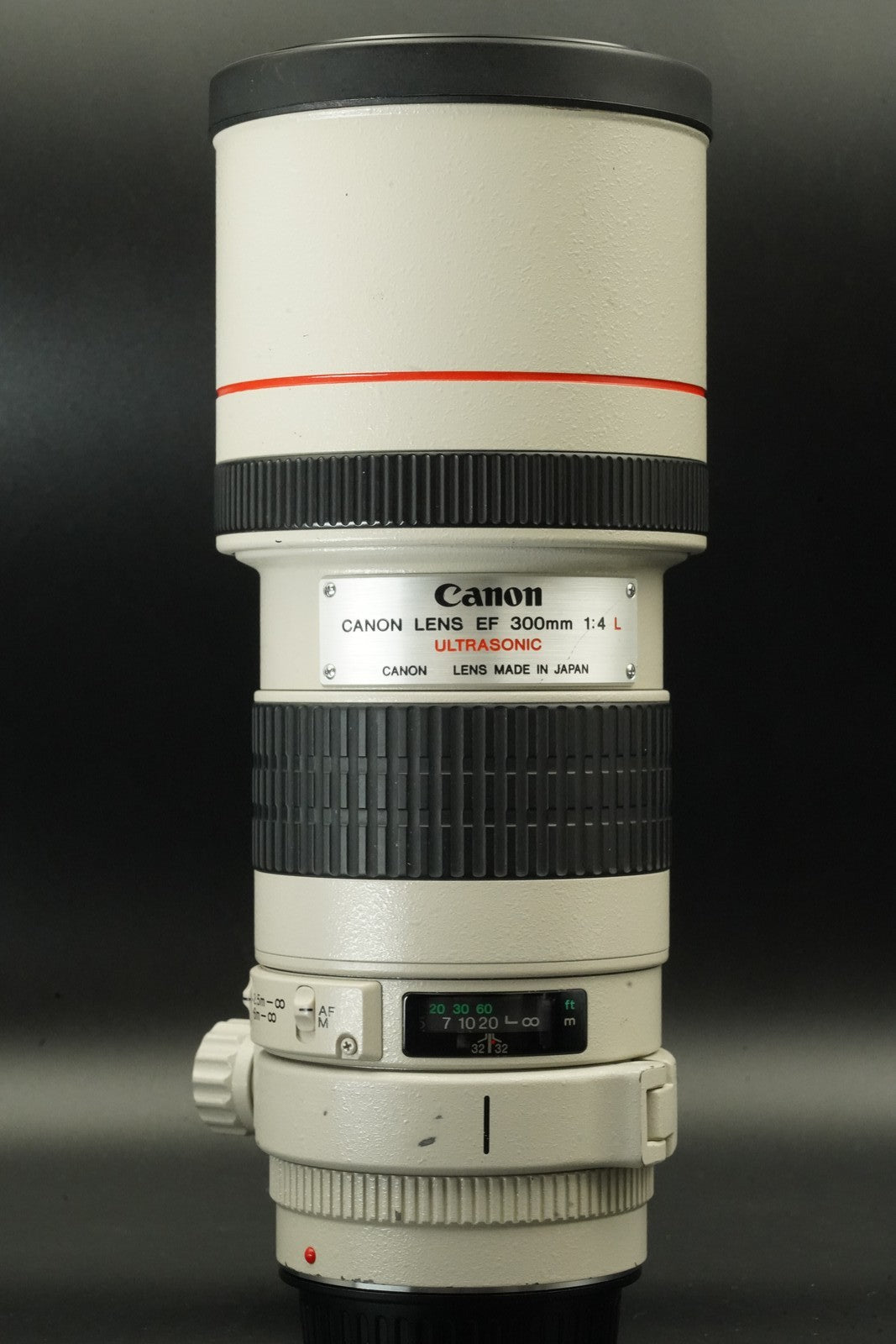 Canon EF 300mm f/4 L USM NON-IS ULTRASONIC Lens #12214