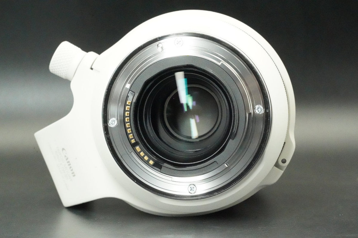 Canon RF 70-200mm f/2.8 L IS USM Lens #12832