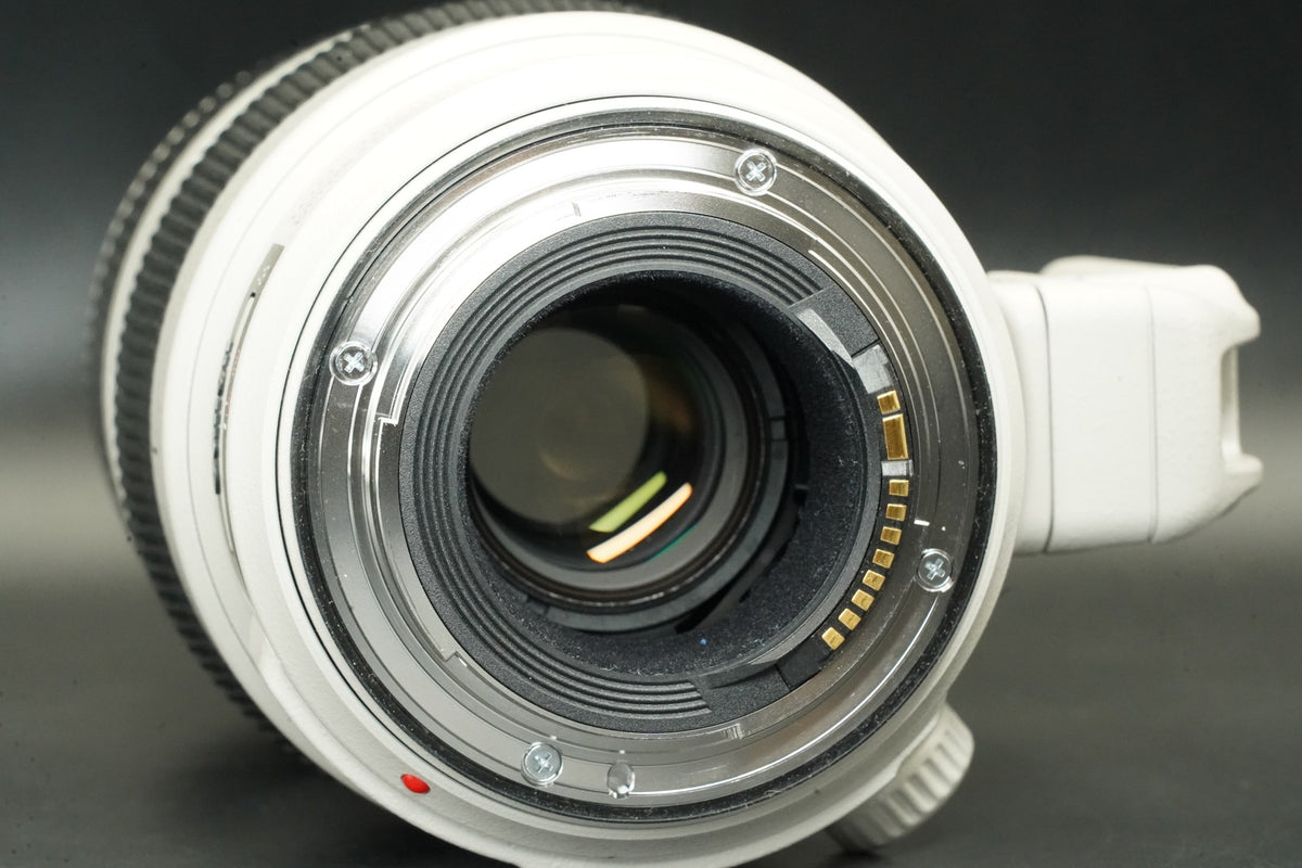 Canon EF 100-400mm f/4.5-5.6 L IS II USM AF Zoom Lens US STOCK #12227