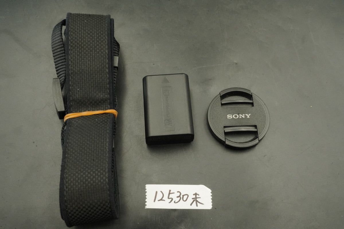 Sony A6400 Digital Camera Silver w/ 16-50mm Lens -57852 cuts- #12530