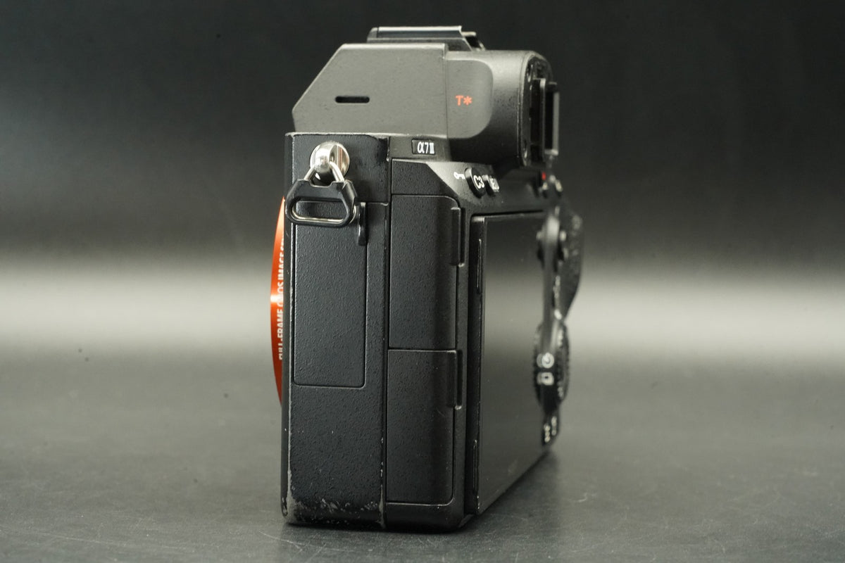 Sony Alpha a7 III ILCE-7M3 Digital Camera -87111 cuts- #12409